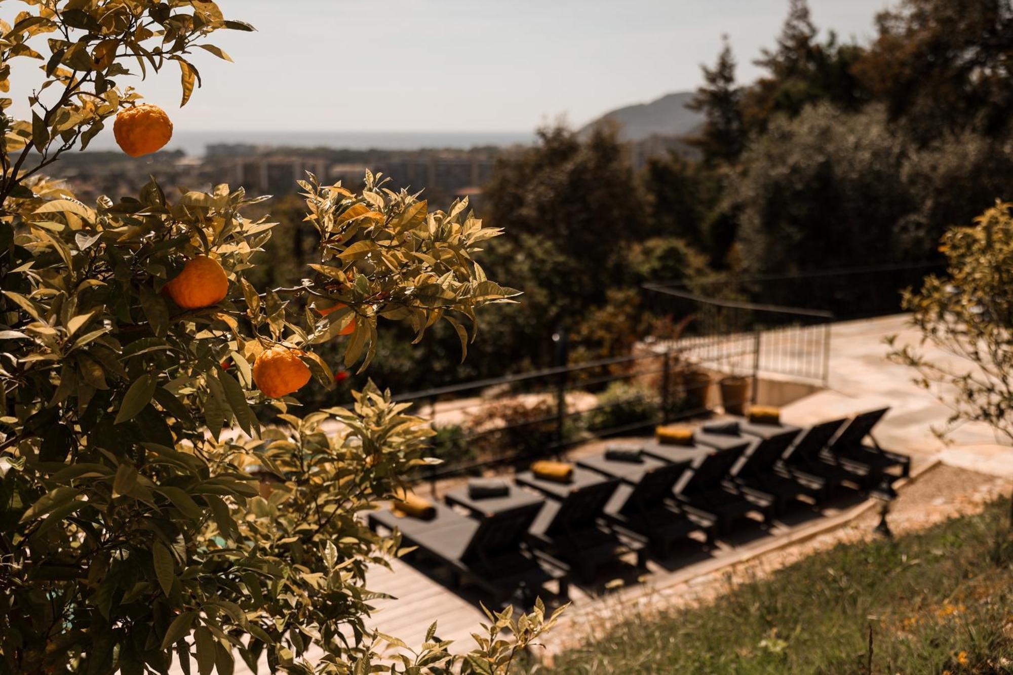 Villa Les Roches Mandelieu La Napoule Luaran gambar